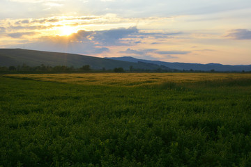 Fototapeta na wymiar Beautiful landscape in sunset