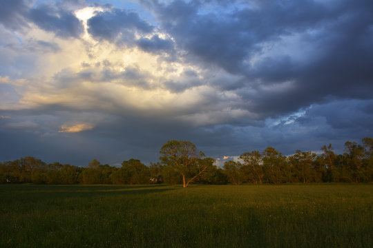 Beautiful landscape with sunset clouds and field © brszattila