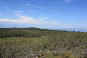 Каменистый пейзаж с засохшими деревьями. © verynika