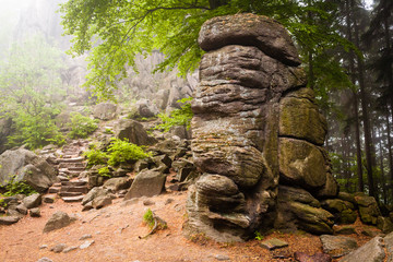 Fototapeta na wymiar Foggy trail in mountain forest