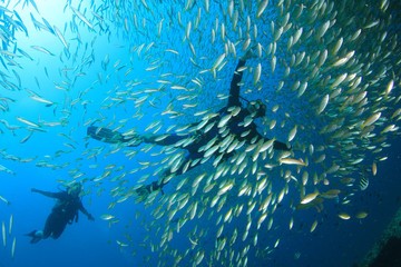 Fototapeta na wymiar Scuba diver swims through fish school