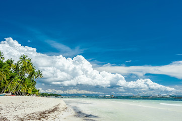 Tropical beach with palm trees at Philippines