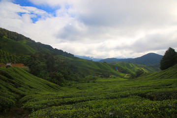 Scenes of Malaysia