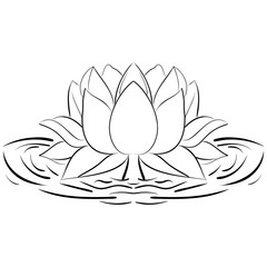 Lotus sketch Flower design elements illustration