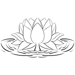 Lotus sketch Flower design elements illustration