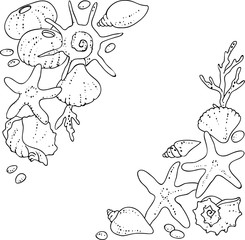 vector black white contour sketch of sea shells corner frame