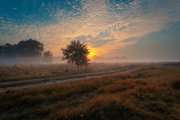 Obraz premium Beautiful misty sunrise landscape. Rural road,
