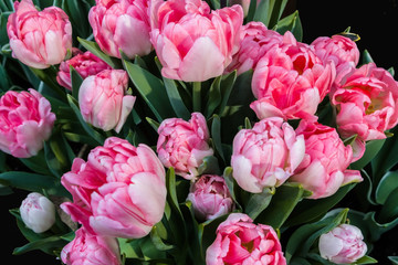 Large bouquet of tulips.