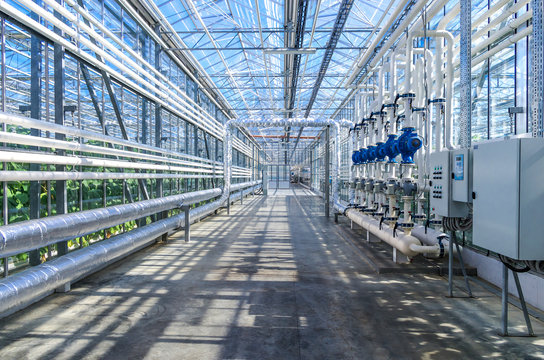 Modern greenhouse