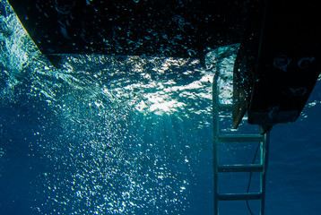 underneath the dive boat where scuba divers return. bubbles can often be seen cascading into the...