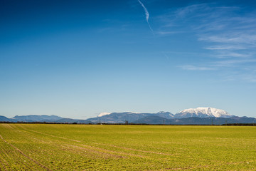 Landschaft mit Berg und Feldern - Schneeberg 