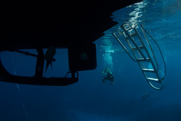 underneath the dive boat where scuba divers return. bubbles can often be seen cascading into the...