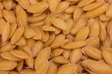 melon seeds background