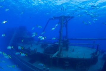 This sunken ship is the Kittiwake in Grand Cayman. The ex US naval vessel was submerged deliberately in the clear warm water to create a tourist snorkel and scuba dive site