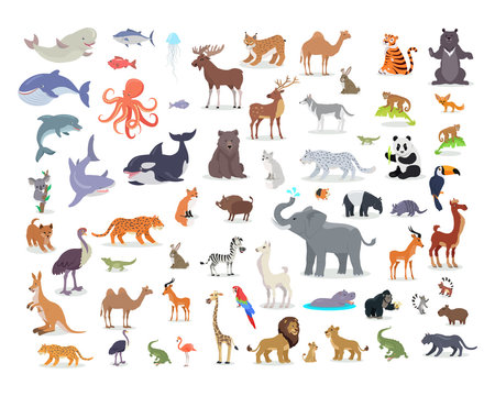 Big Set of World Animal Species Cartoon Vectors 