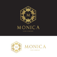 premium luxury logo. Vector illustration