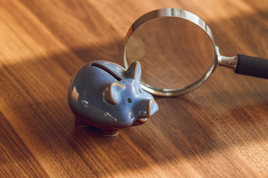 Conceptual image: piggy bank and magnifying glass