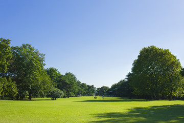 Plakat 公園　芝生広場