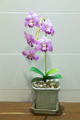 Close up artificial plant with orchid flower on flower pot