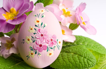 Pink decorated egg in spring pink flower primrose