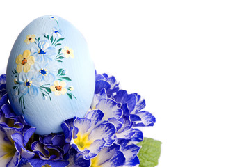 Easter decorated egg in spring flower primrose over white background 