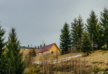 Старый деревянный дом в горах в Восточной Европе