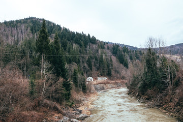 Fototapeta na wymiar Горная река в Карпатских горах