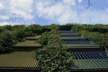 Wall of the parking garage in Rotterdam