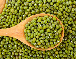 green bean in wood spoon on white background