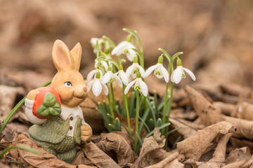 Schneeglöckchen und Osterhase