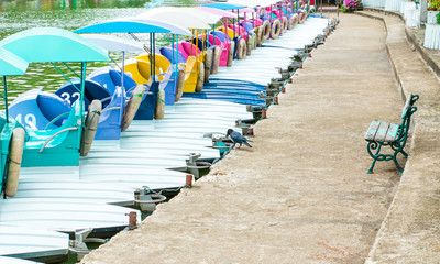 Row the Paddle wheel of colorful poolside with a crow find food on side and the benches in the park. 