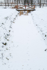 frozen brook