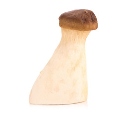King oyster mushroom Pleurotus eryngii on white background