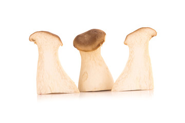 King oyster mushroom Pleurotus eryngii on white background