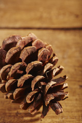 Decorative pine cones