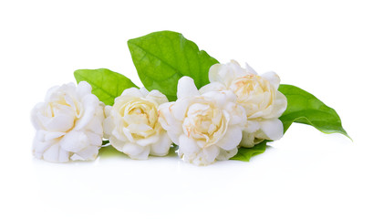 Obraz na płótnie Canvas Jasmine flower isolated on white background.