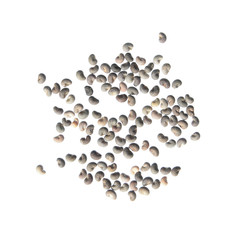 Seeds of common mignonette (Reseda odorata) isolated on white background