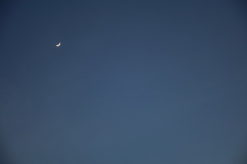 a little crescent moon