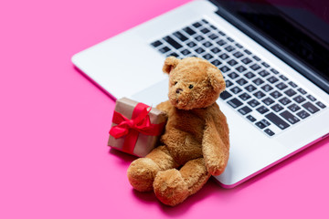 beautiful small gift, cute teddy bear and cool laptop on the wonderful pink background
