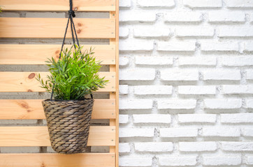 plant in hanging basket on wooden background and brick wall background two tone, copy space for text.