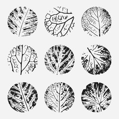 Set of different hand drawn grunge textures. Prints of leaves