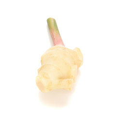 Young Fresh ginger isolated on white background