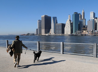 A man with a dog in Brooklyn Bridge Park, New York