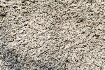 Grey wall background texture