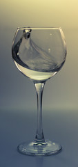 Splash water in a glass on a gray