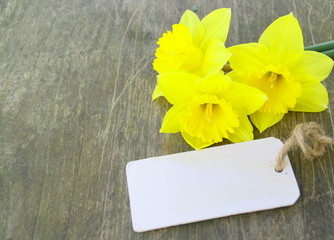 carte étiquette vierge,et bouquet floral de jonquilles sur fond bois,concept