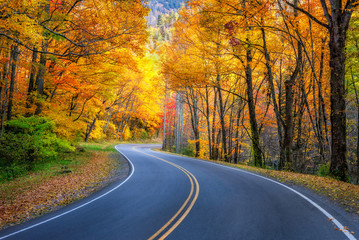 Winding road, autumn foliage, Great Smoky Mountains