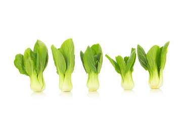 Bok choy vegetable isolated on the white background