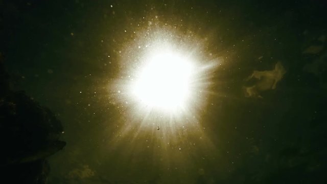An underwater marine footage: sun beams pierce the water surface