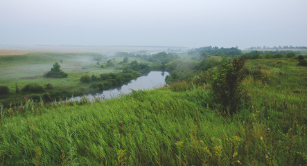 Foggy summer landscape with river